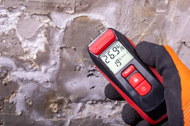 Best Best Mold Removal Companies  in Port Oconnor, TX