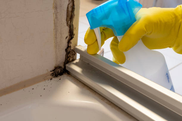 Best Professional Mold Removal  in Port Oconnor, TX