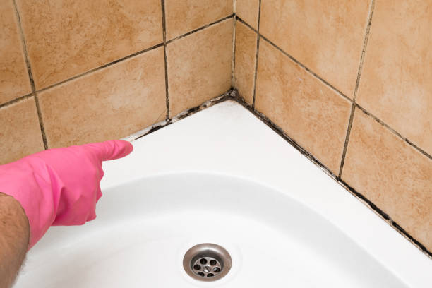 Crawl Space Mold Removal in Port Oconnor, TX
